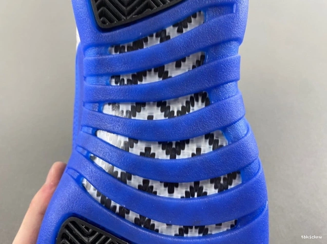 Cheap TBkick Blueberry 12 CT8013-140 Jordan Air 0725